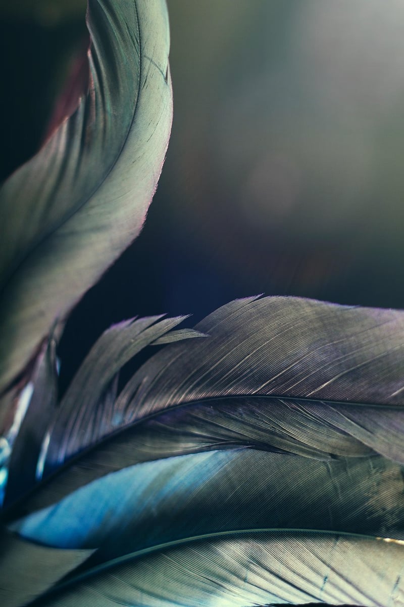 Fantasy Cosmos